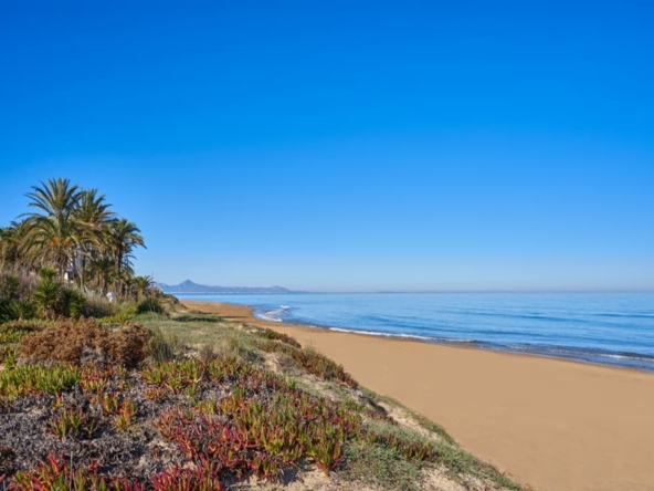 Invest in the Costa Blanca for 2025 - The Agency RE - Luxury Property
