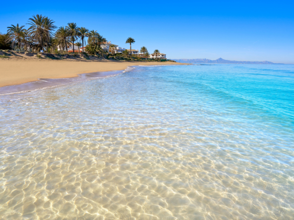 UK & Dutch Buyers Moving To the Costa Blanca - The AgencyRE