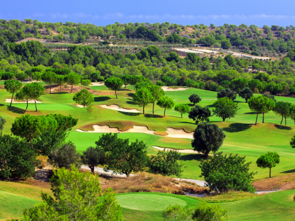 Luxury Property for Sale Las Colinas Golf- The Agency Costa Blanca