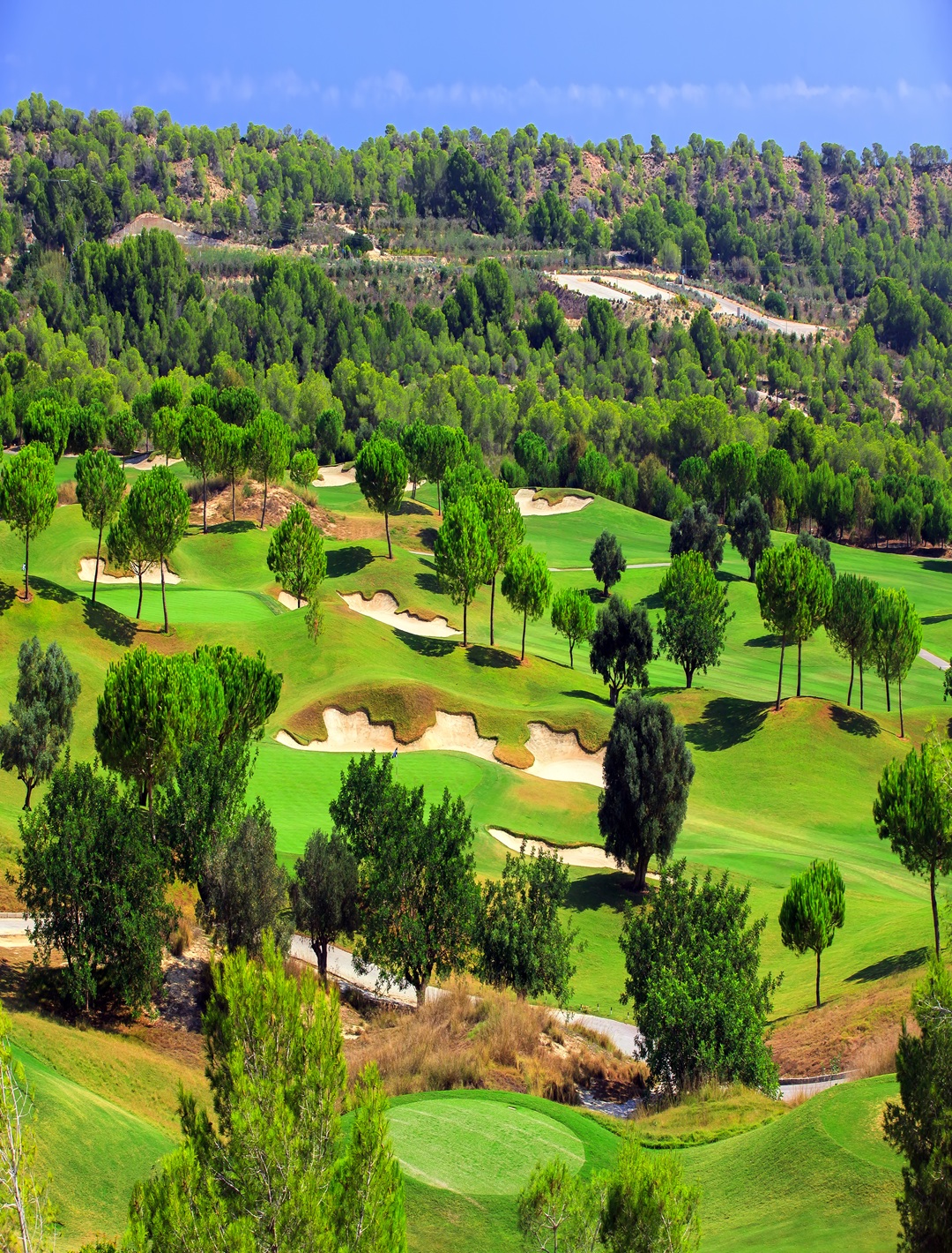 Las Colinas Golf Resort